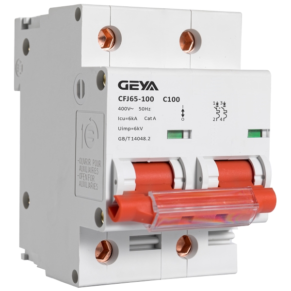 GYJ65-100 小型斷路器